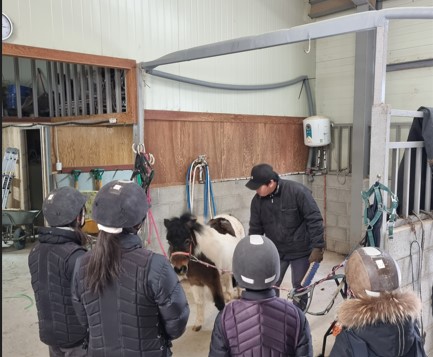 [비장애형제승마체험] 2회기 진행