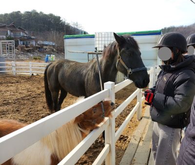 [비장애형제승마체험] 4회기 진행